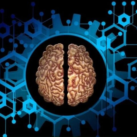 WhatsApp Image 2025-10-07 at 1.01.21 PM