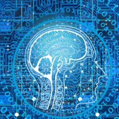 WhatsApp Image 2025-10-07 at 9.42.32 AM