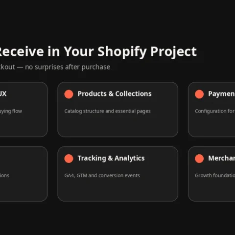 IT LISTA Shopify store project scope